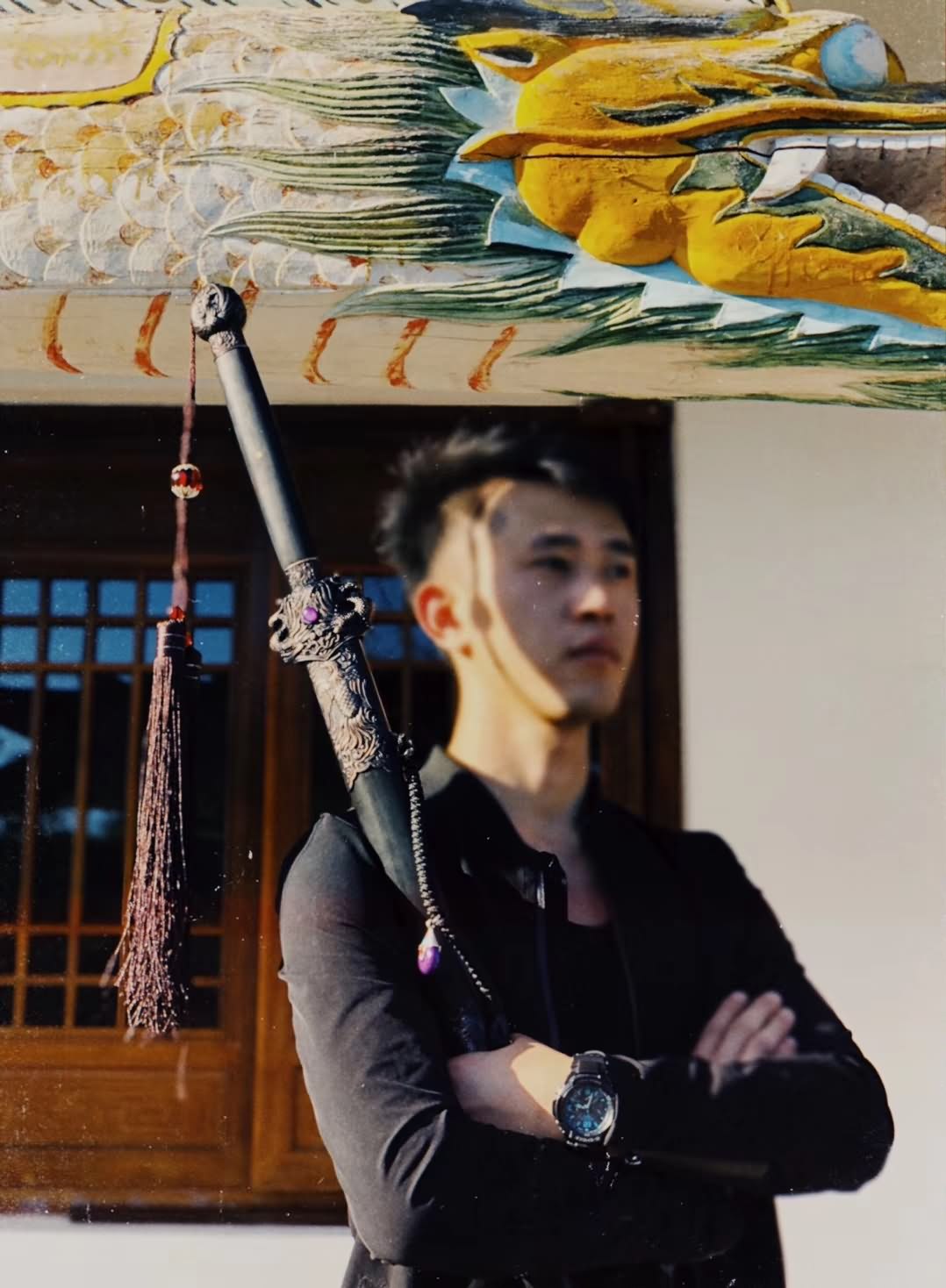 Phoenix swords,High carbon steel blade,Black wood,Alloy - Chinese sword shop