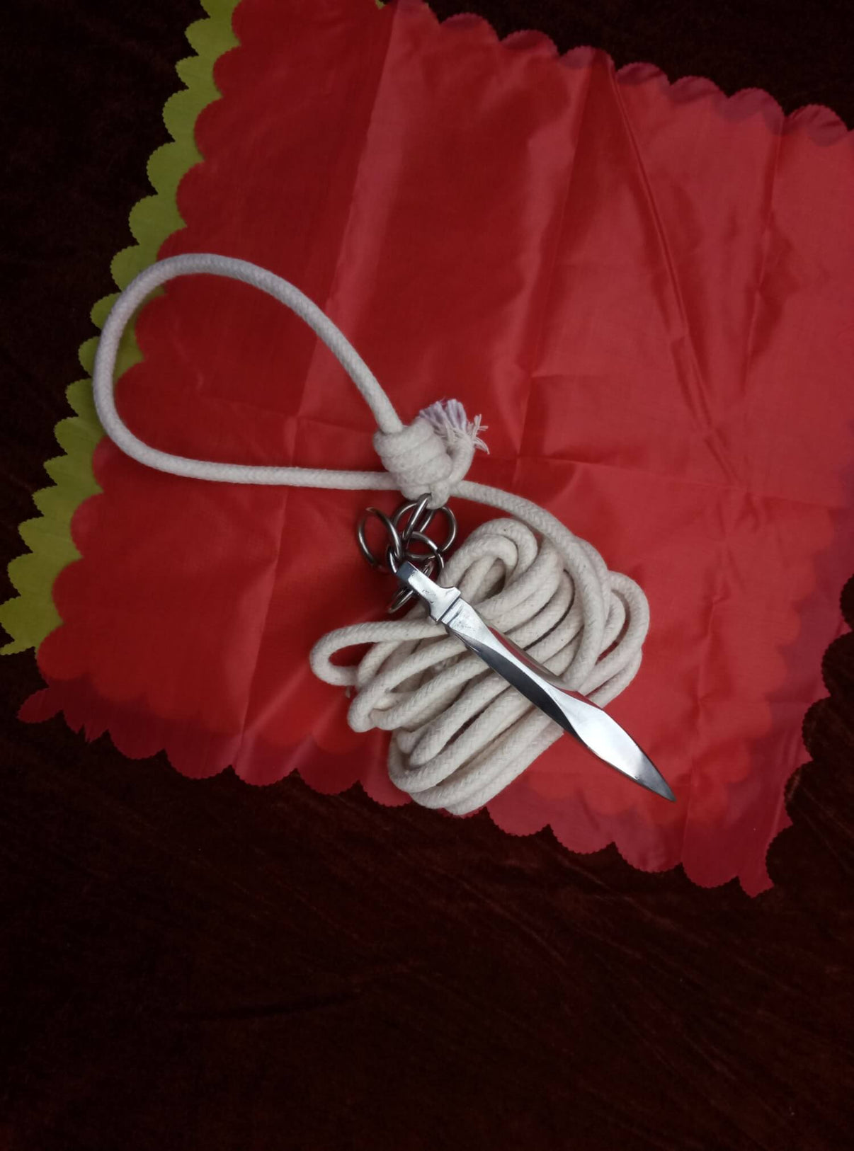 Rope dart,Stainless steel,Kung fu,Diamond Chinese Sword store