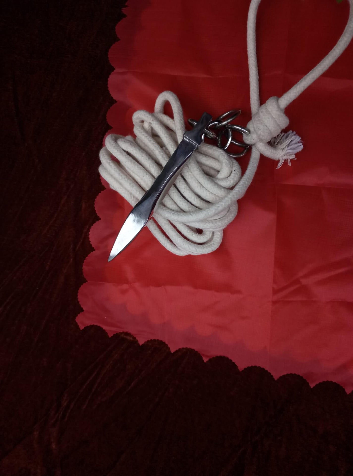 Rope dart,Stainless steel,Kung fu,Diamond Chinese Sword store